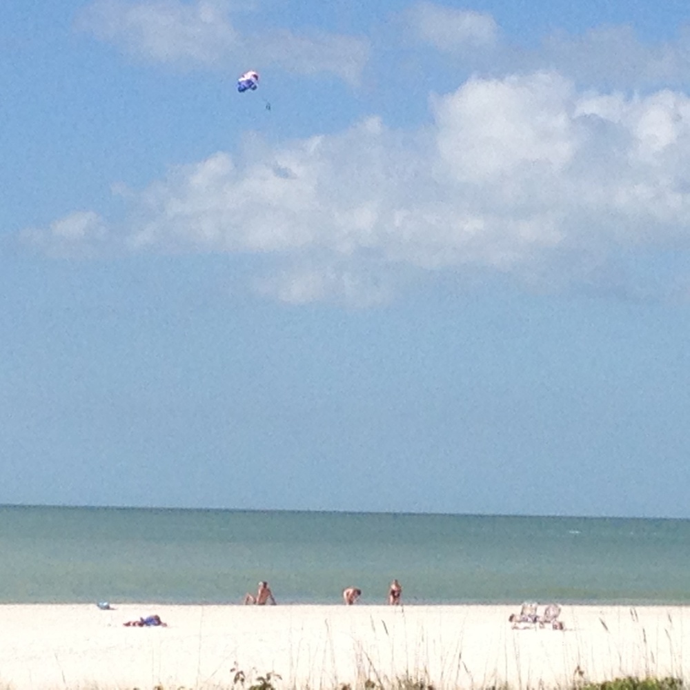 Meet your Posher, Arcinav